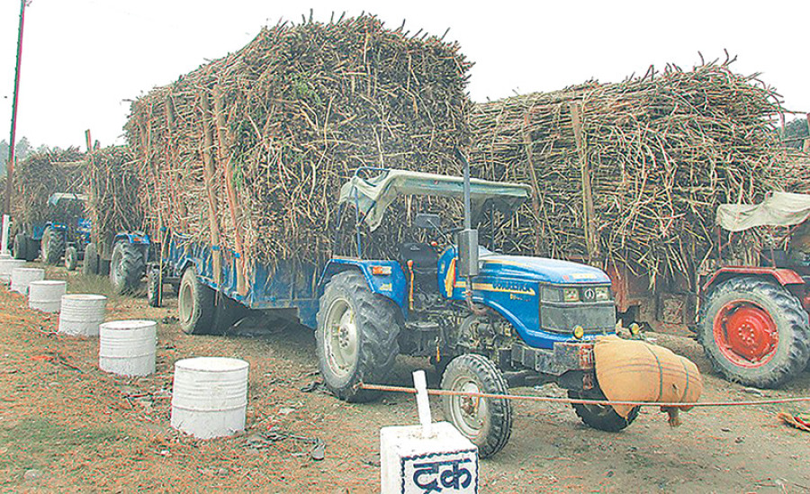 Sugarcane farmers protest demanding Rs80 million