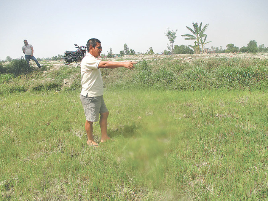 Farmers cancel plans to plant spring paddy