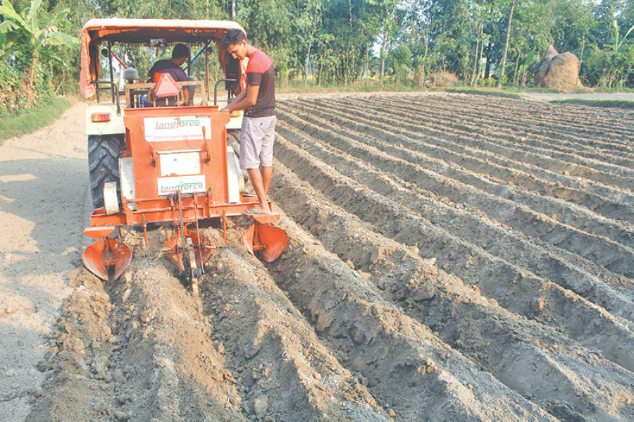 Govt farming project reaps great results