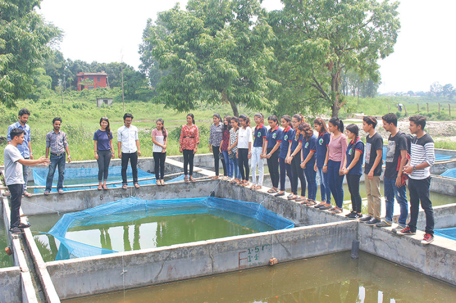 Fallow grounds: pursuing a future in forestry and agriculture