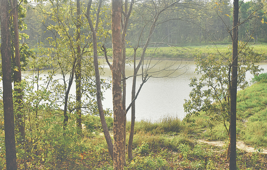 Banke National Park animals thirst for water as several ponds go dry