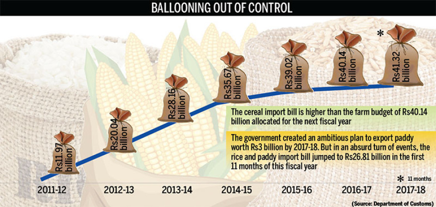 Cereal import bill hits new record high of Rs41 billion