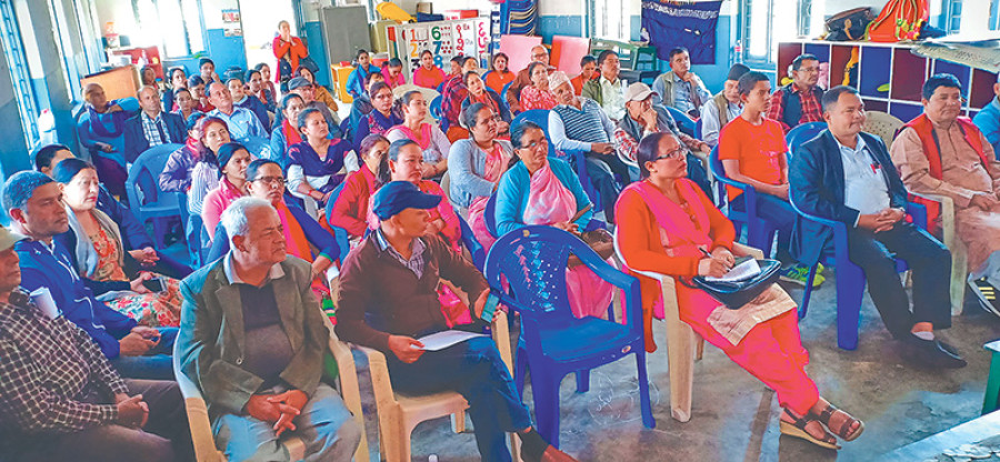 Pokhara sees rise in dengue patients