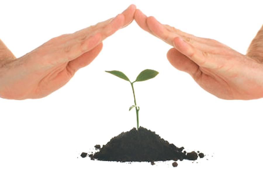 Farm insurance fails to attract farmers