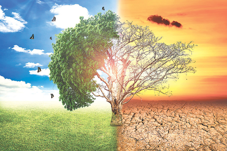 Climate and cash