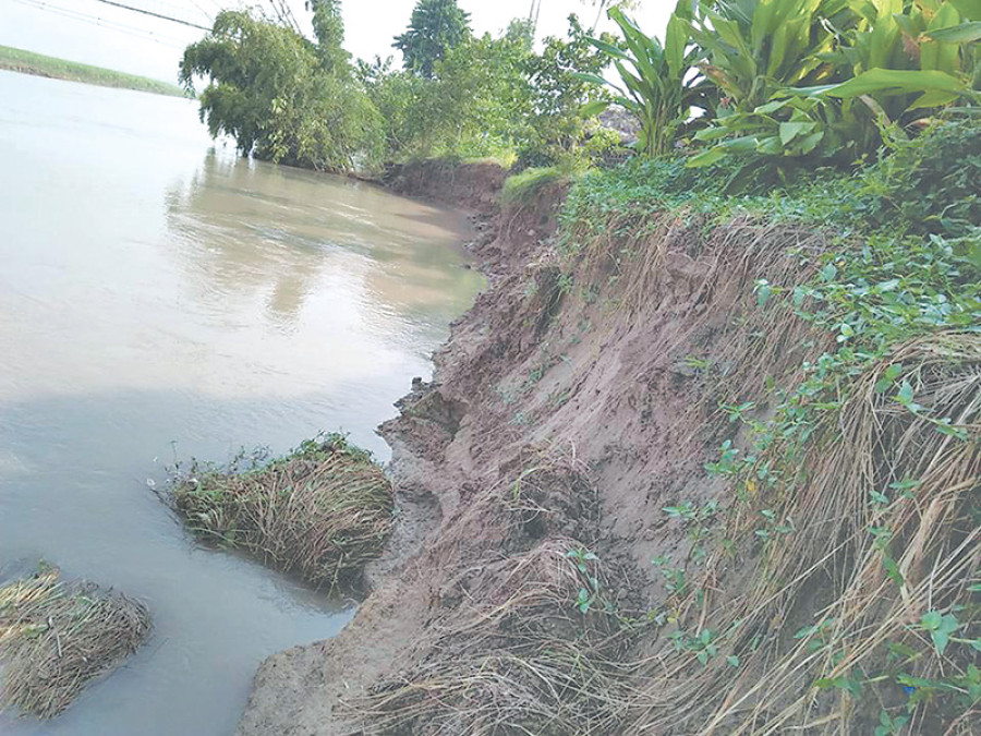 Jogbudha River erodes farmland in Kanchanpur
