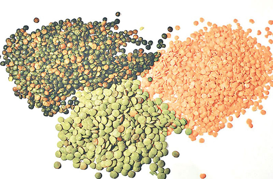 Lentil imports through Sirsiya jump twofold