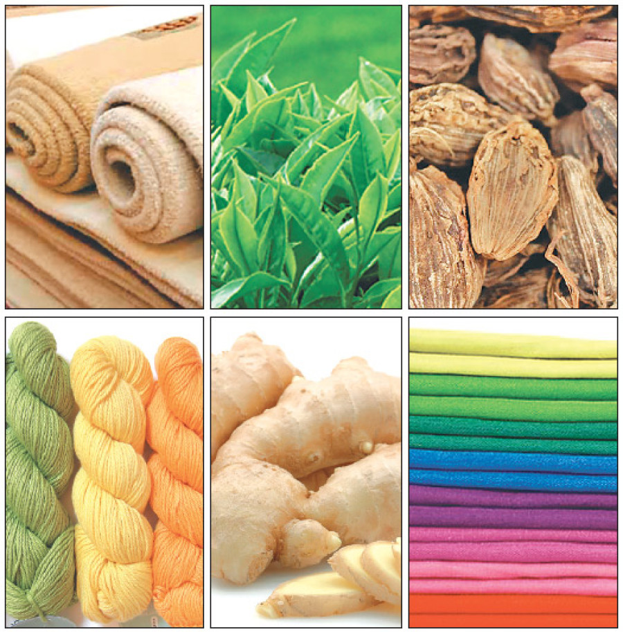 Agro products lead increase in exports