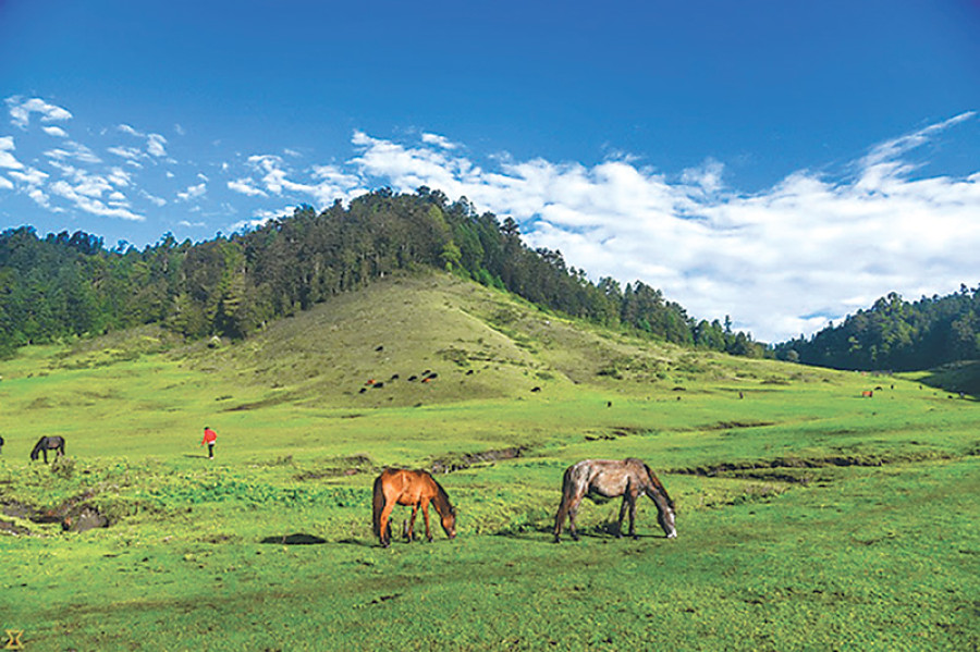 Khaptad tourism body’s funding cut off due to irregularities