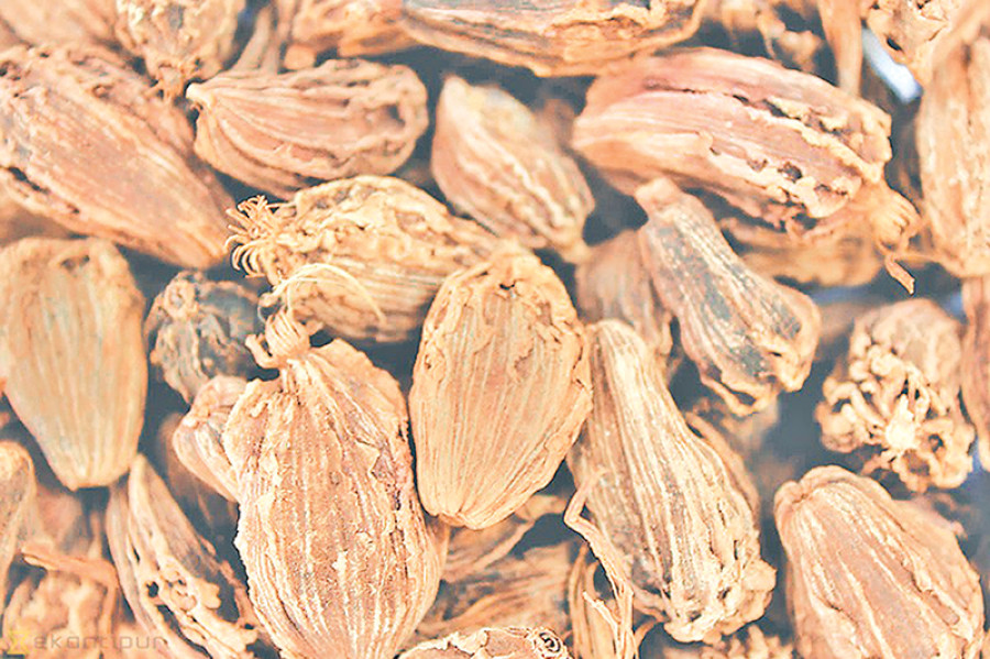 Large cardamom farmers worried by slow demand