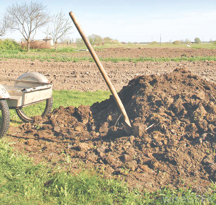 Farmers switch back to organic fertiliser