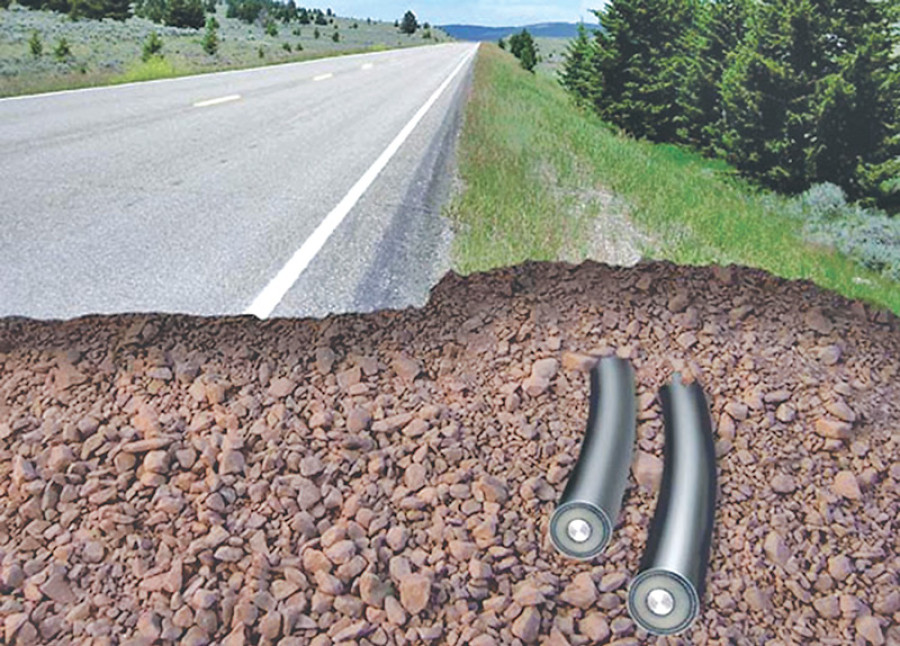 NEA close to selecting firm for laying cables