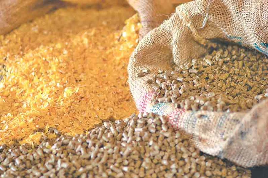 Standards for animal feed to be revised