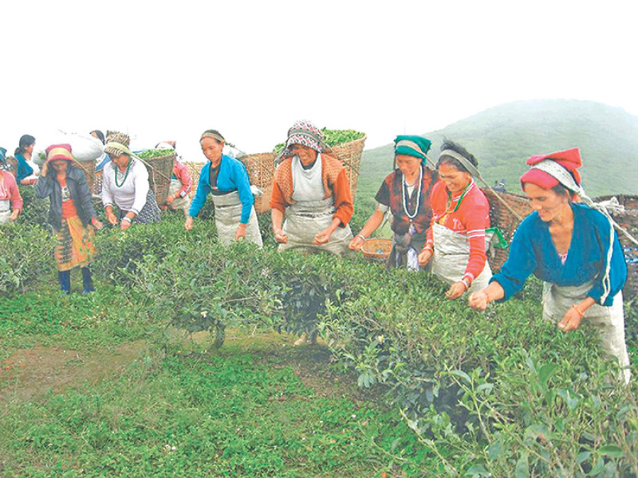 Nepal exports Rs2b of tea