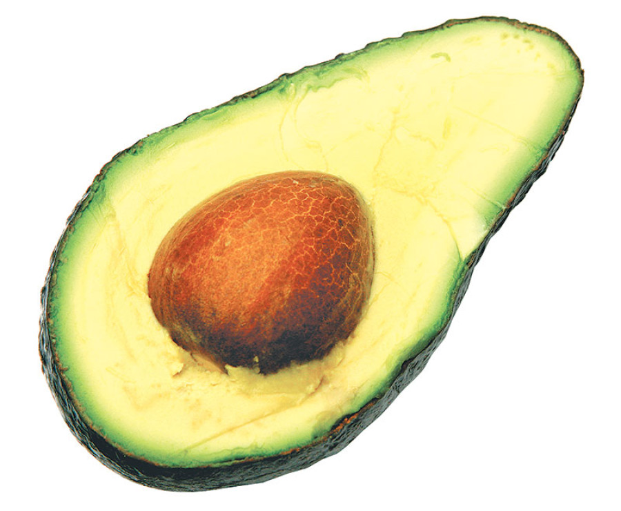 Dhankuta declared ‘avocado capital’