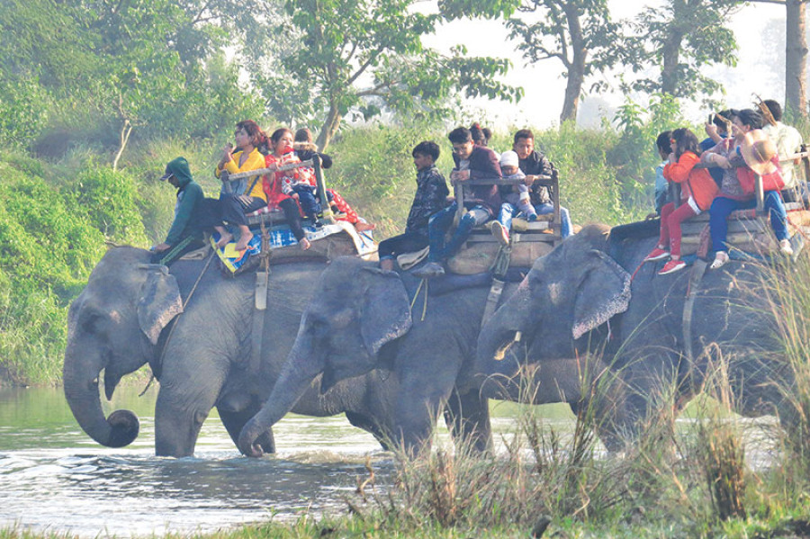 Nepali safari-goers pack Sauraha during Dashain