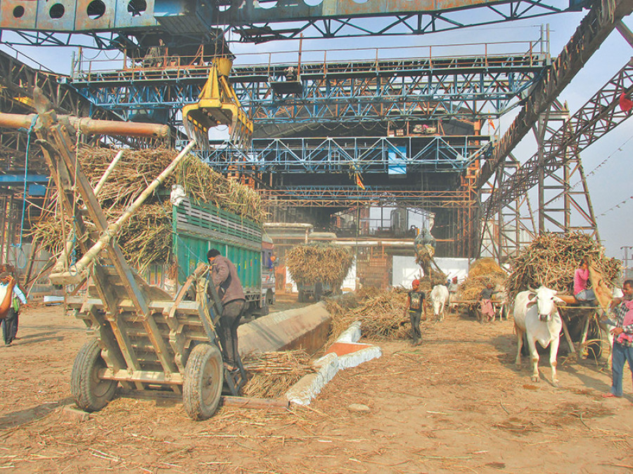 Indian sugarcane hitting Nepali farmers’ income