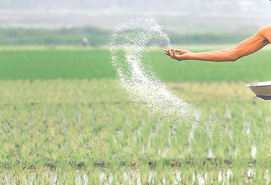 Farmers in Dhading bemoan lack of fertiliser