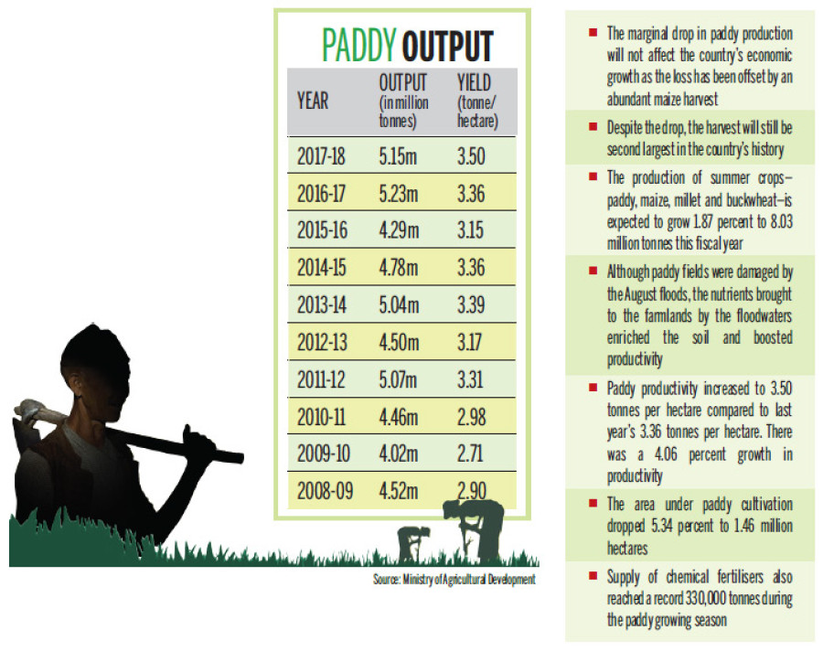 Paddy output expected to remain near record high