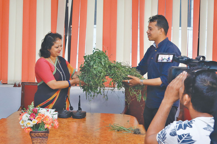 Conservationists give Khadgi grass in novel protest