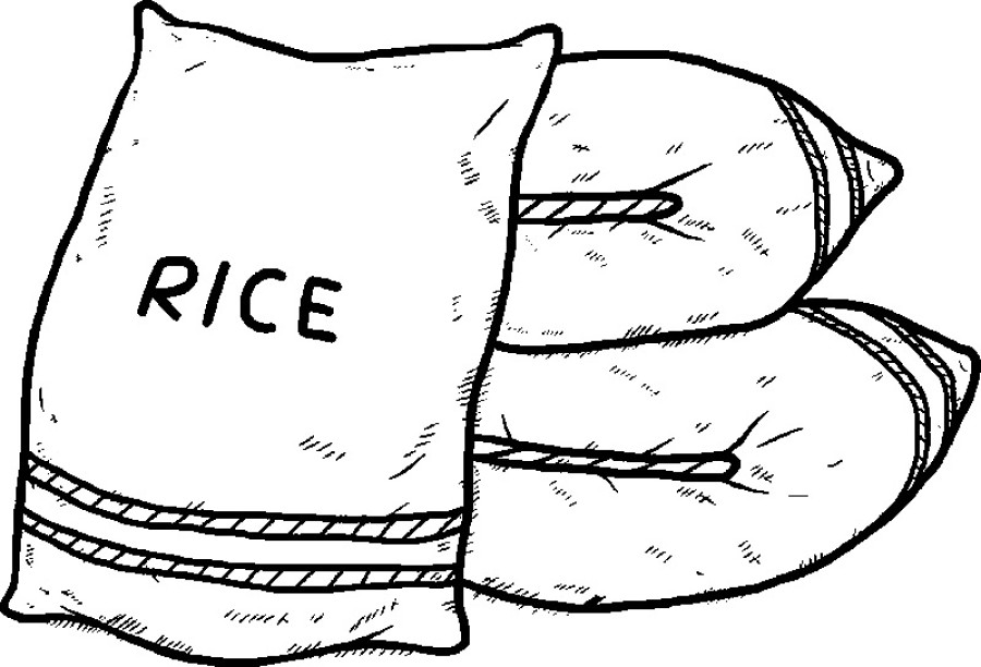 Cheap imports force rice mills to close