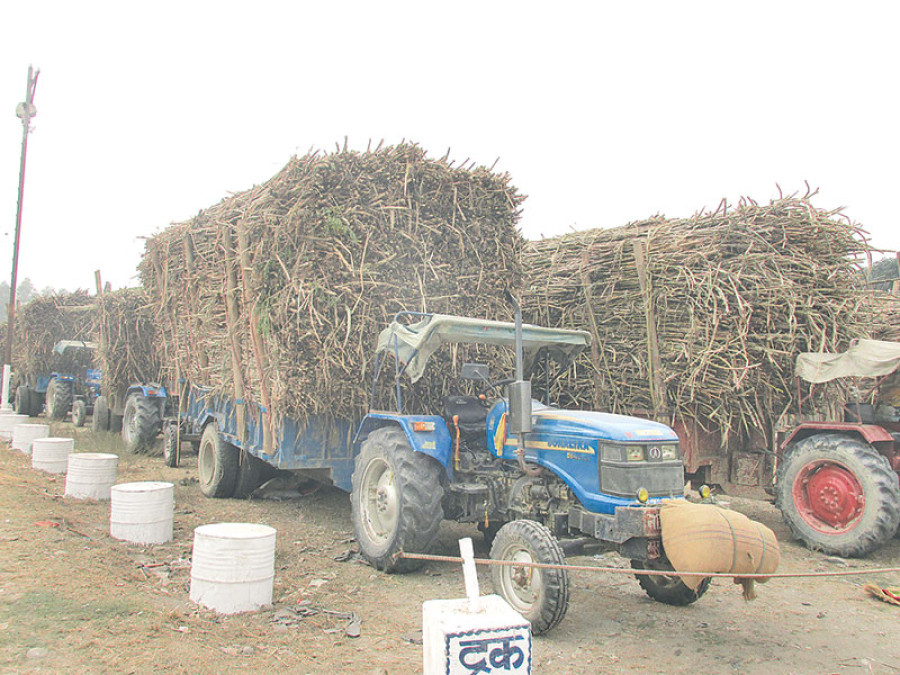 Cane farmers to receive subsidy of Rs60 per quintal