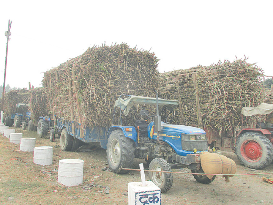 Sugar price shoots up after import quota
