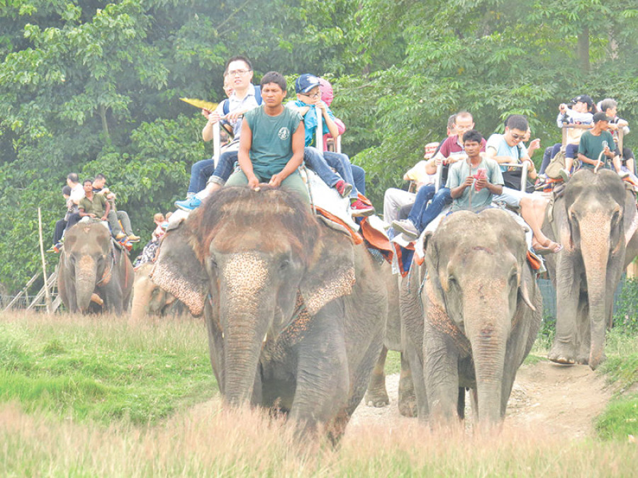 Tourist arrivals grow 11 percent in April
