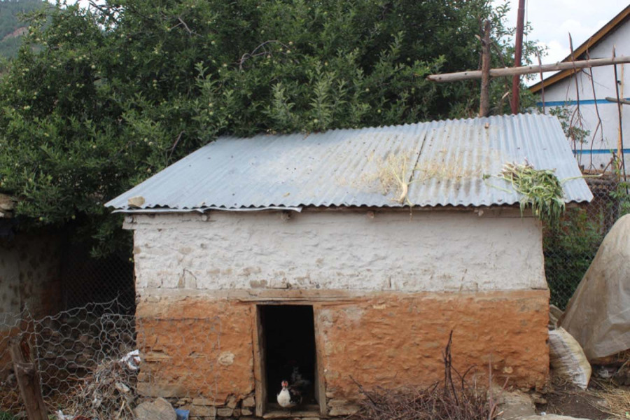 Woman injured in leopard attack at menstruation hut in Kailali