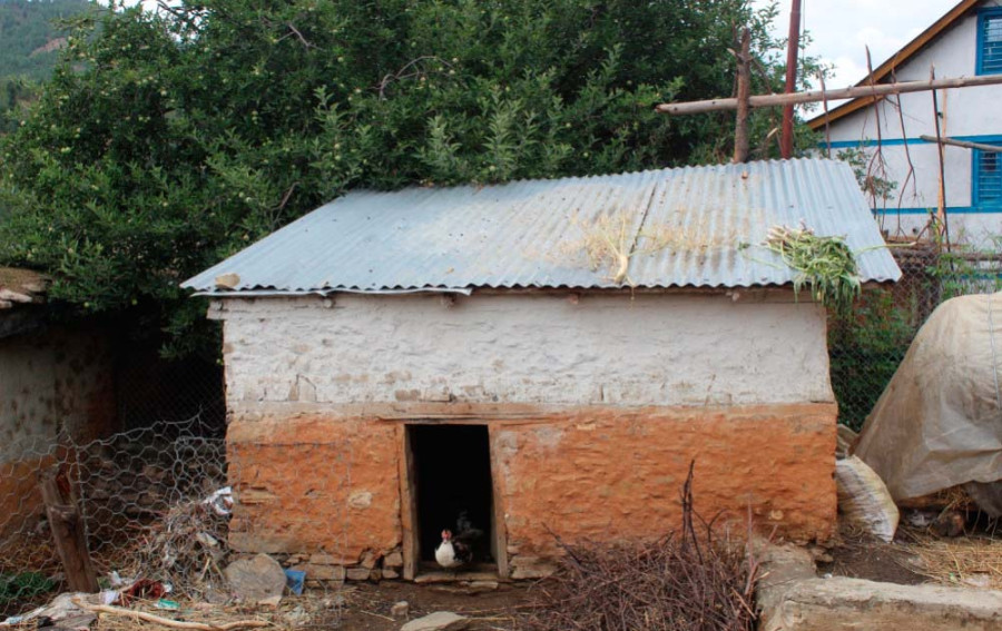 Woman dies of snakebite in menstrual shed in Kanchanpur