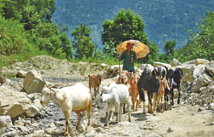 Old folks lonely but happy in empty mountain villages