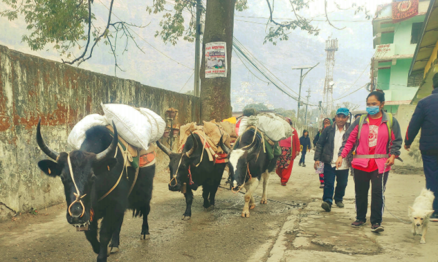 Track from Byas to Khalanga yet to be built despite government assurances