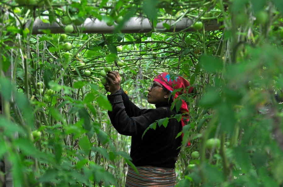 4 million jobs added to Nepal’s economy in past decade, a report says