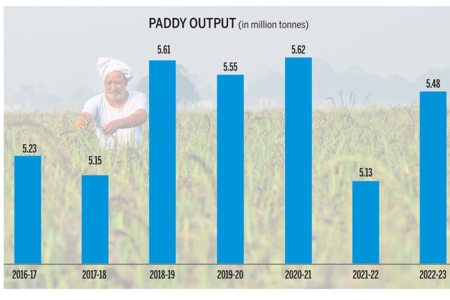 Farmers likely to harvest 5.48 million tonnes of paddy