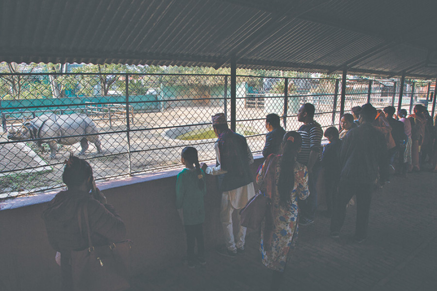 Central zoo comes up with new guidelines preparing to reopen