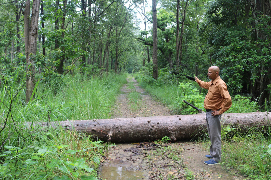 Bhuri Gaun-Telpani road being upgraded for the first time since it was built