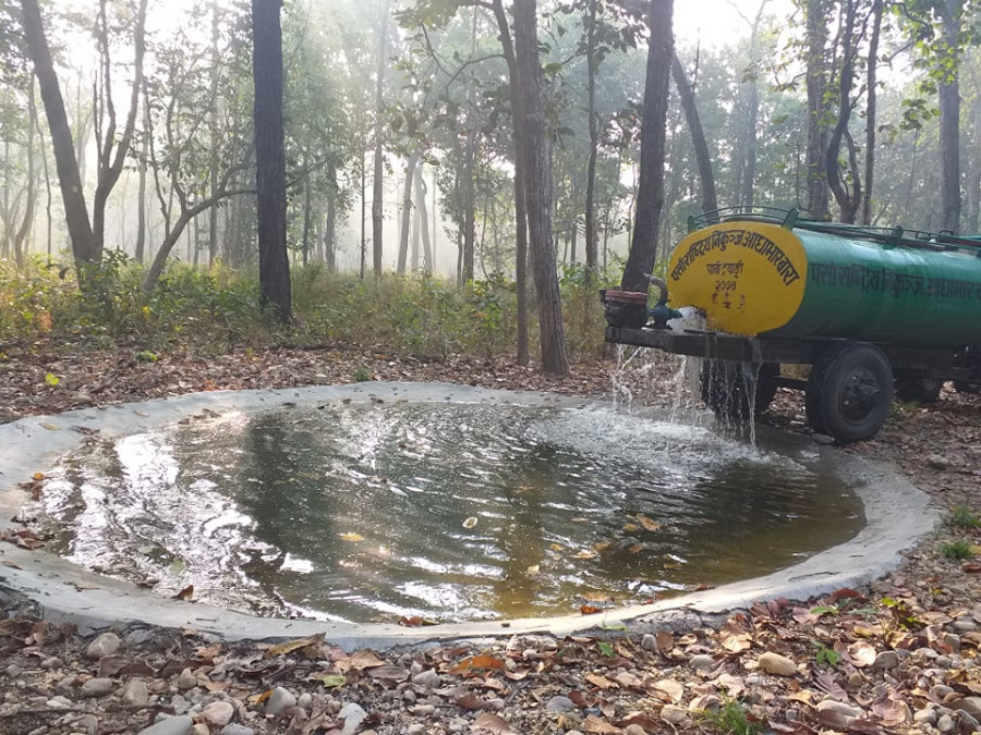 Conservationists worry as water scarcity inside Parsa National Park worsens