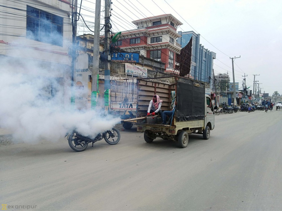 As dengue spreads, officials scramble to contain the disease