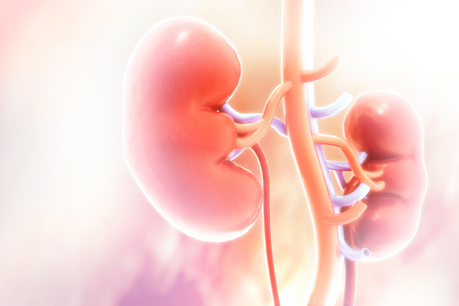 Disclosures of illegal kidney transplants highlight the need for tougher controls