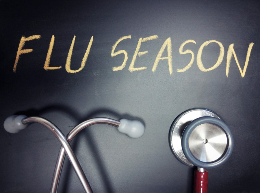 Brushing off rumours, experts say there are no cases of swine flu