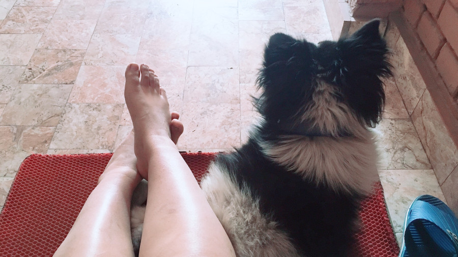 The thing about raising a dog