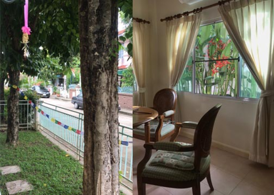 Amidst concretes and trees, I find a home