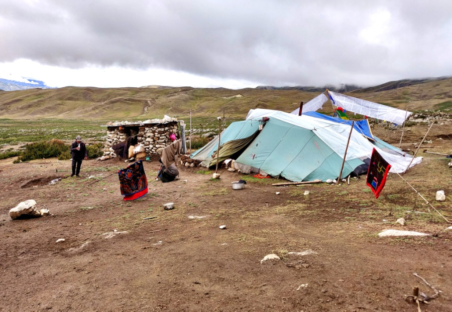 Living with nomads