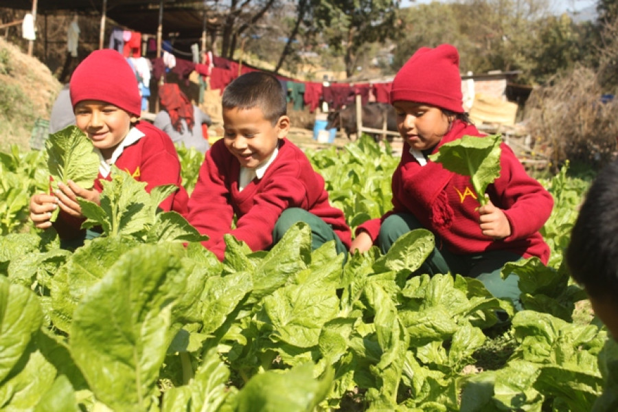 This school in Lalitpur is fusing education with environment