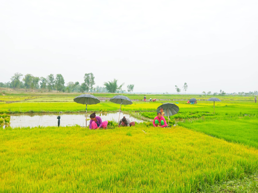 Farmers worry as monsoon stalls over Bay of Bengal