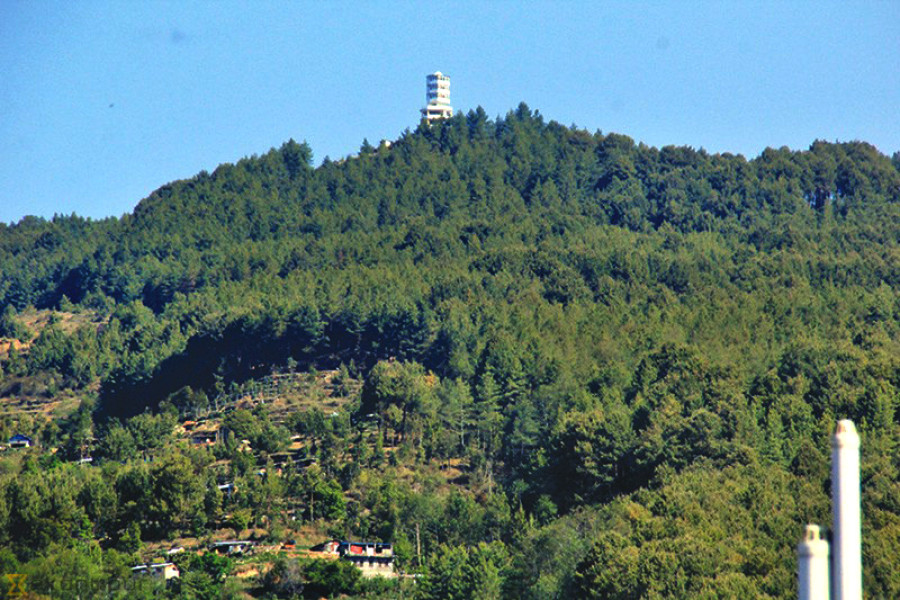 Taking back forests from its community users is curtailing their rights, activists