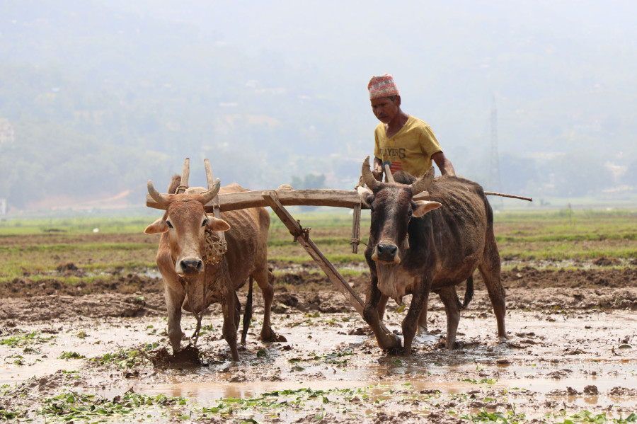 Government hopeful of achieving growth rate of above 7 percent