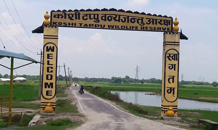 After local’s protest, Koshi Tappu’s elehants shifted to Bhagalpur