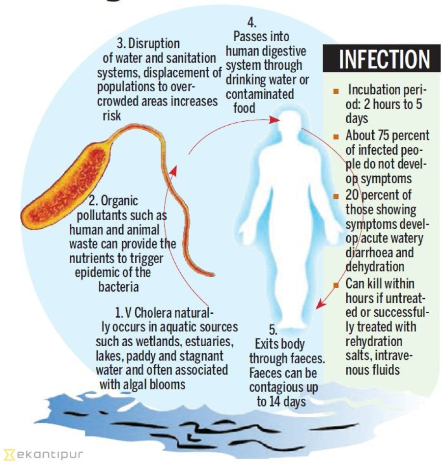 Water samples collected from Kathmandu’s cholera-hit area for lab test