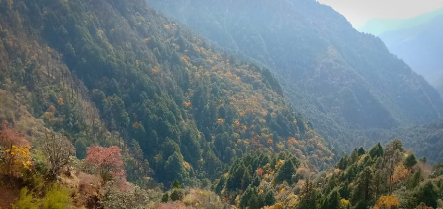 Local units in Rukum East and West come together to preserve biodiversity
